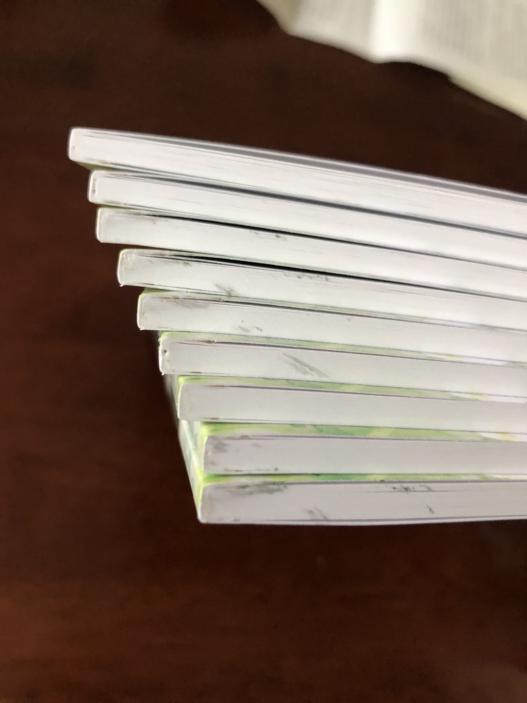 【お値引き品】美しいひと(くにちょぎ小説)