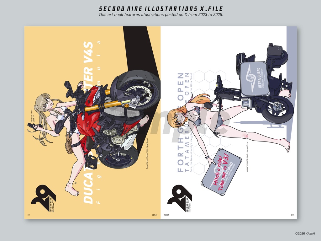 SECOND NINE ILLUSTRATIONS X_FILE