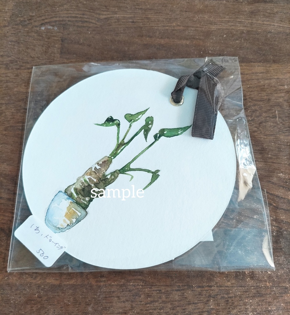 ドローイング『観葉植物シリーズ』①~④ オリジナル 手描き イラスト