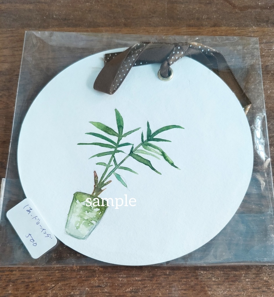 ドローイング『観葉植物シリーズ』①~④ オリジナル 手描き イラスト