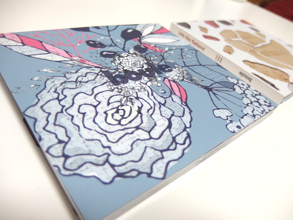 into the flatland + boule / noo 【パッケージ版】