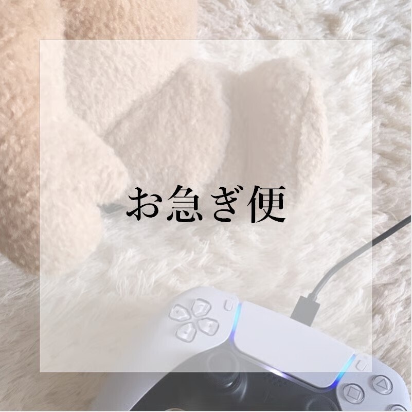 【Option】お急ぎ便
