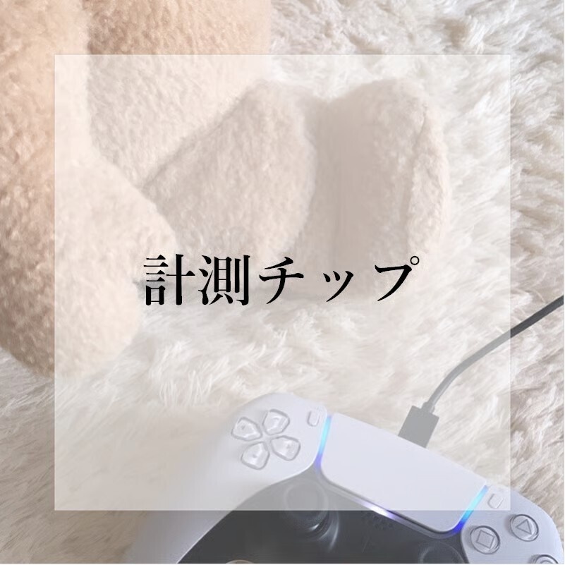 【Option】計測チップ