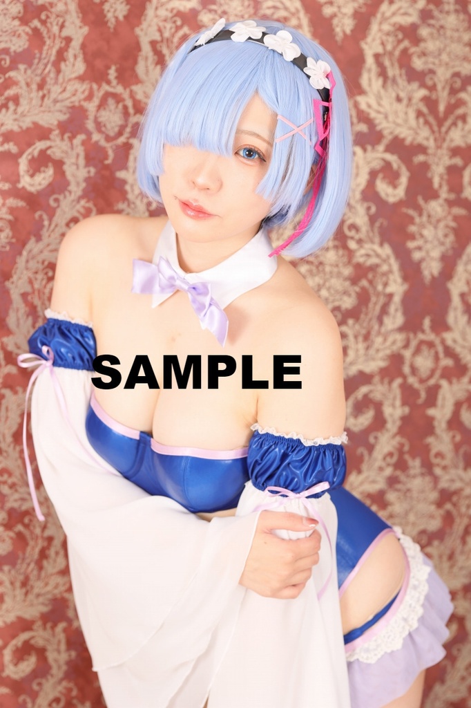 Re:ゼロから始める異世界生活(リゼロ) コスプレROM--レム--