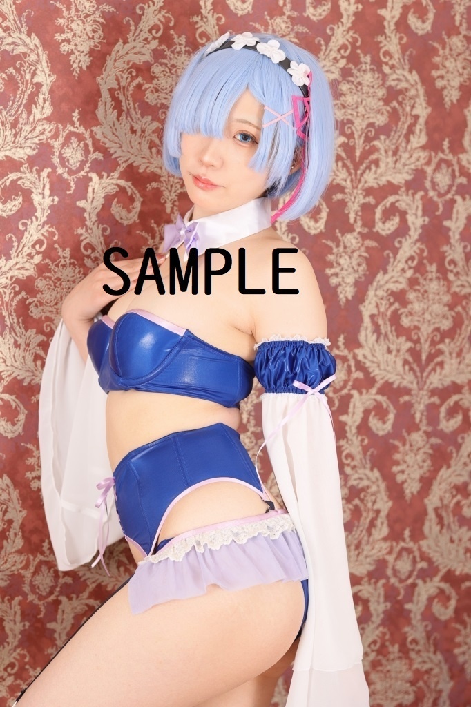 Re:ゼロから始める異世界生活(リゼロ) コスプレROM--レム--