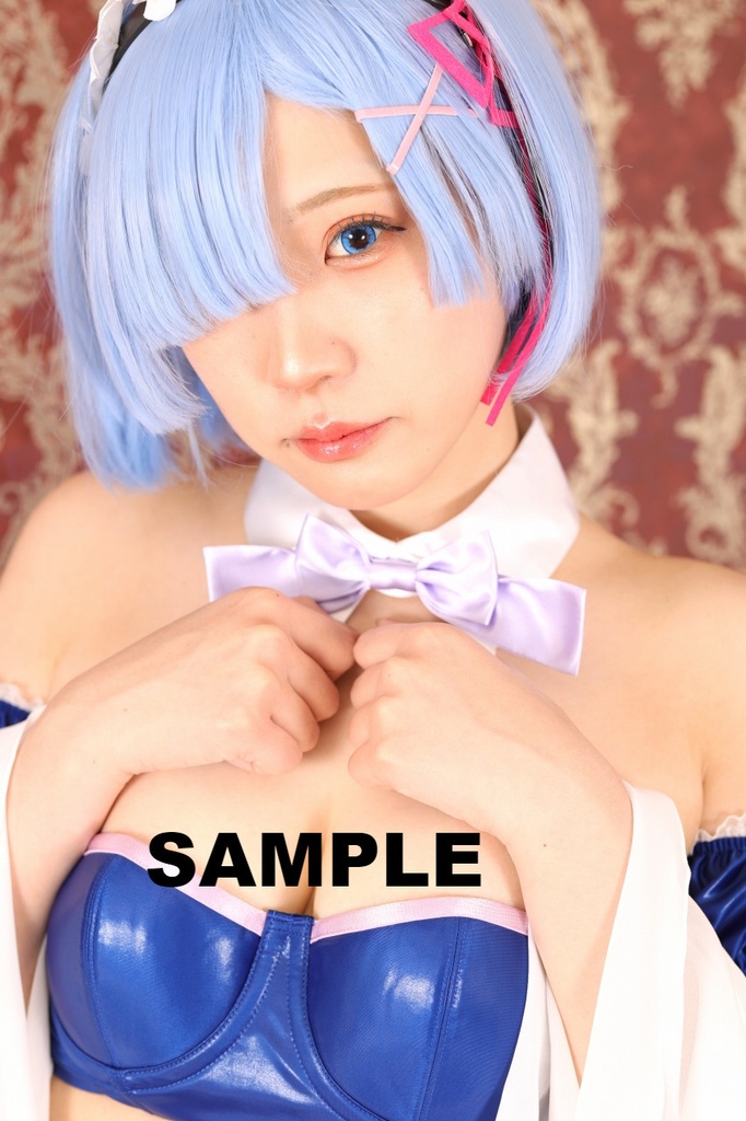 Re:ゼロから始める異世界生活(リゼロ) コスプレROM--レム--