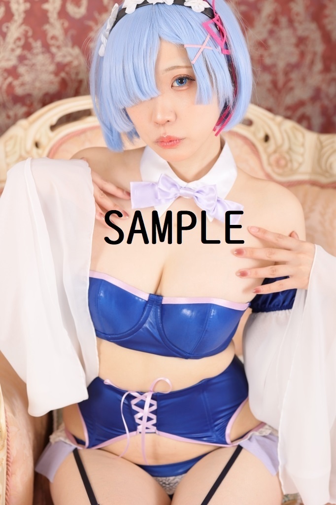 Re:ゼロから始める異世界生活(リゼロ) コスプレROM--レム--