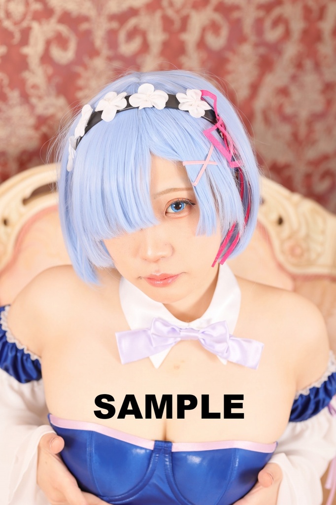 Re:ゼロから始める異世界生活(リゼロ) コスプレROM--レム--