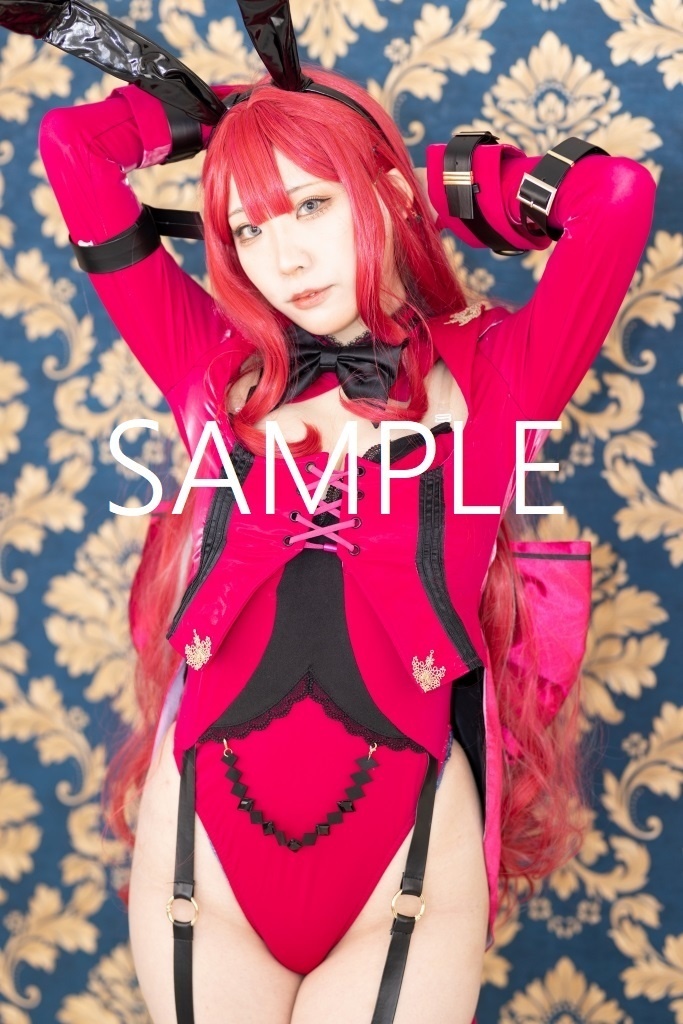 Fate/Grand Order(FGO) バーヴァン・シー 同人バニーコスプレ作品集