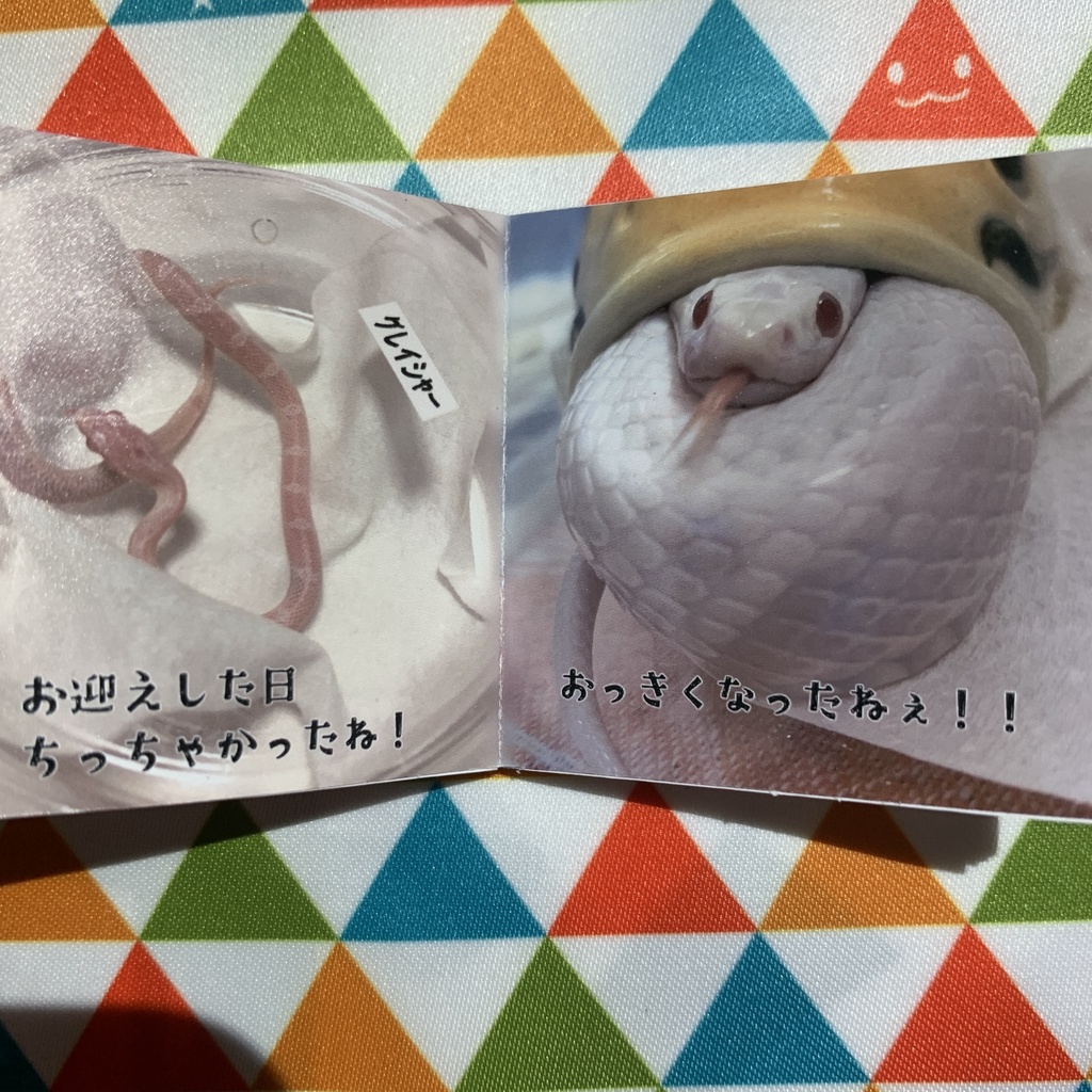 へびもしゃんいまむかし