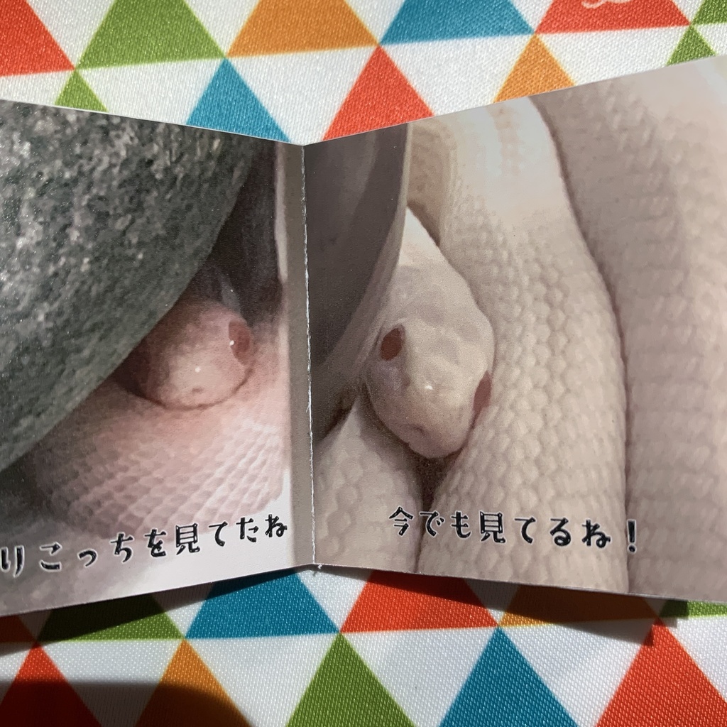 へびもしゃんいまむかし