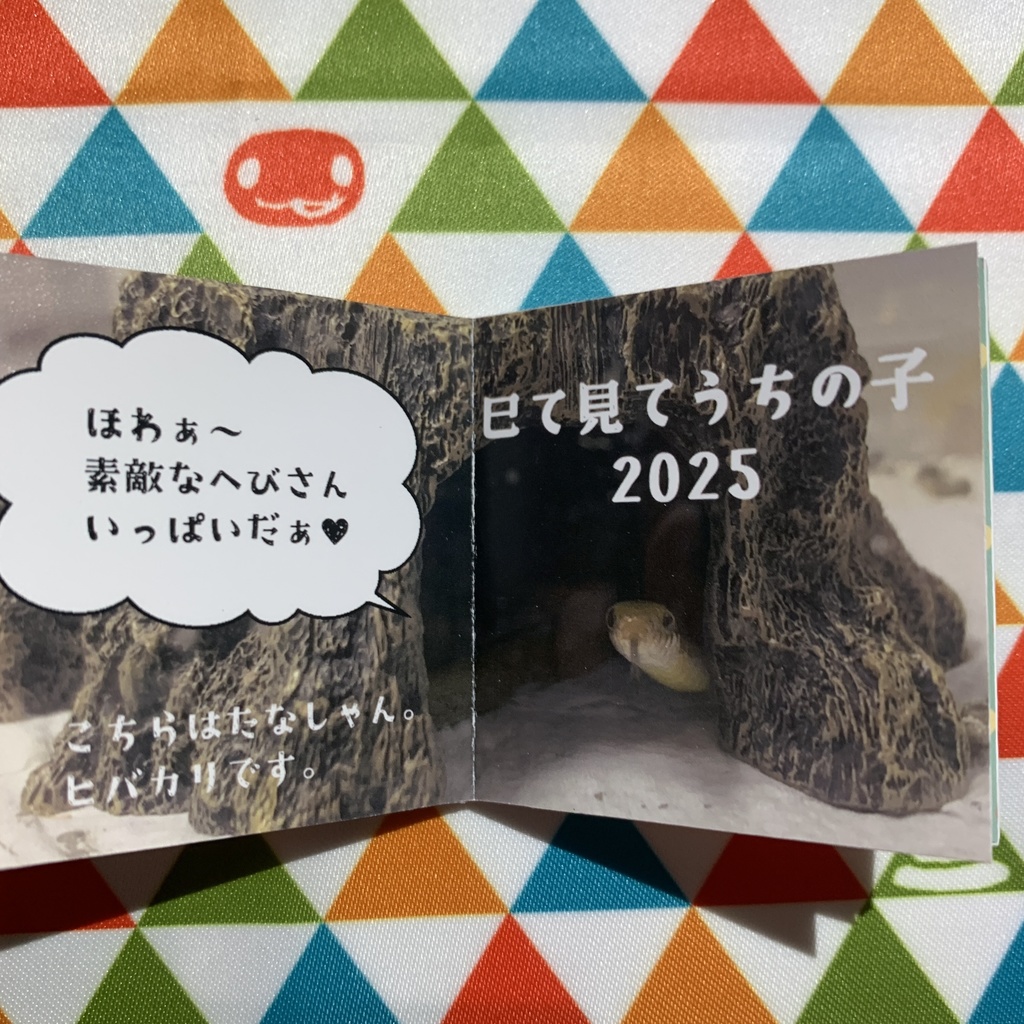 巳て見てうちの子2025