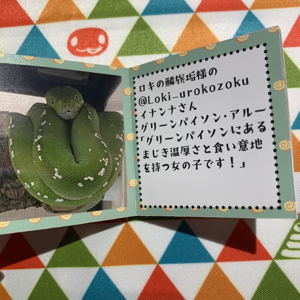 巳て見てうちの子2025