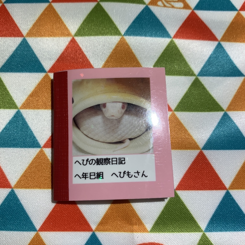 へびの観察日記【ピンク】