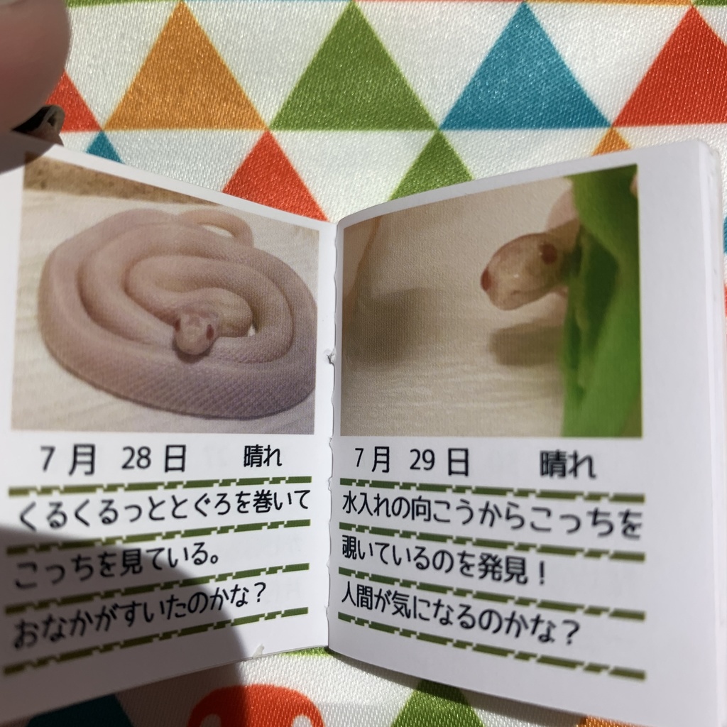 へびの観察日記【ピンク】