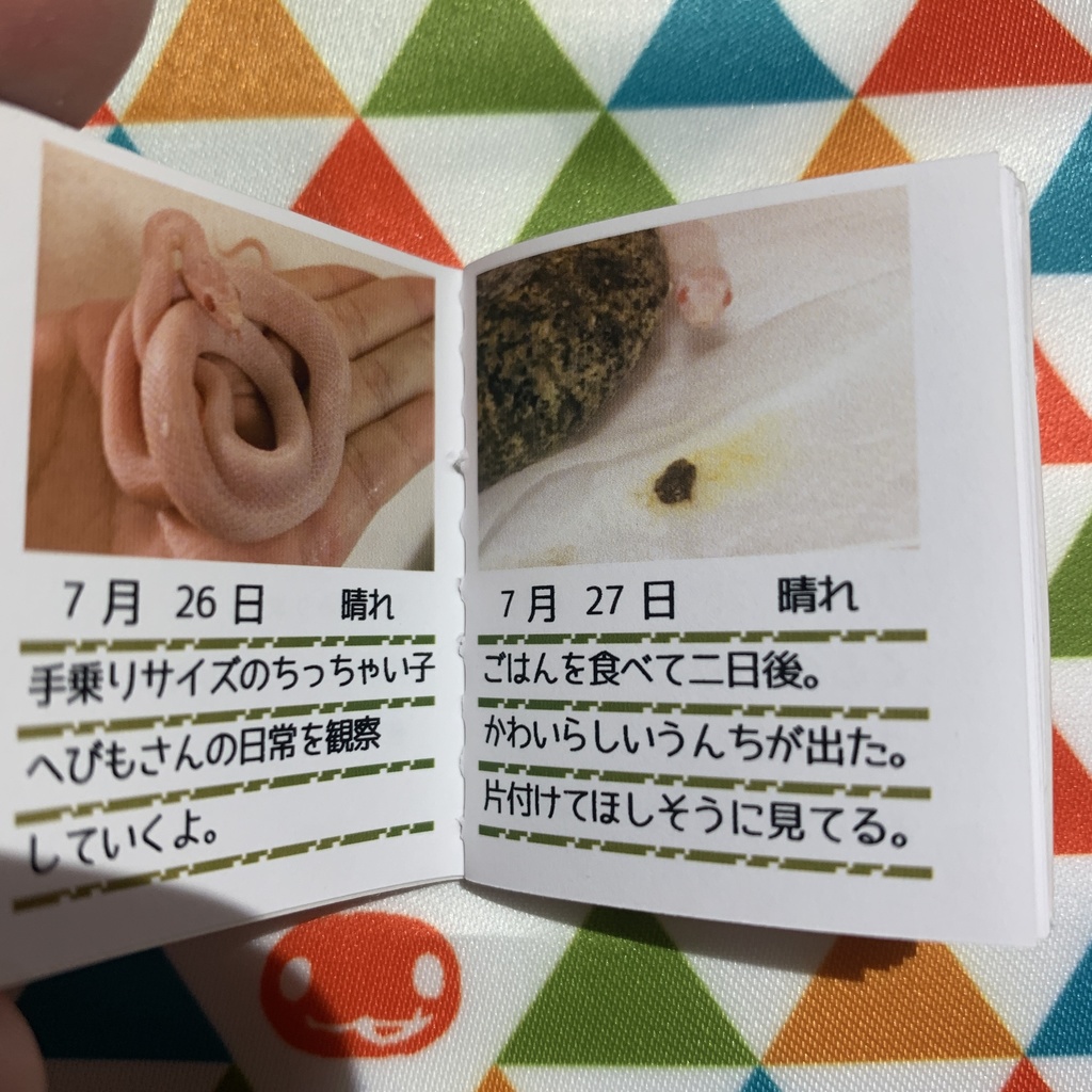 へびの観察日記【ピンク】