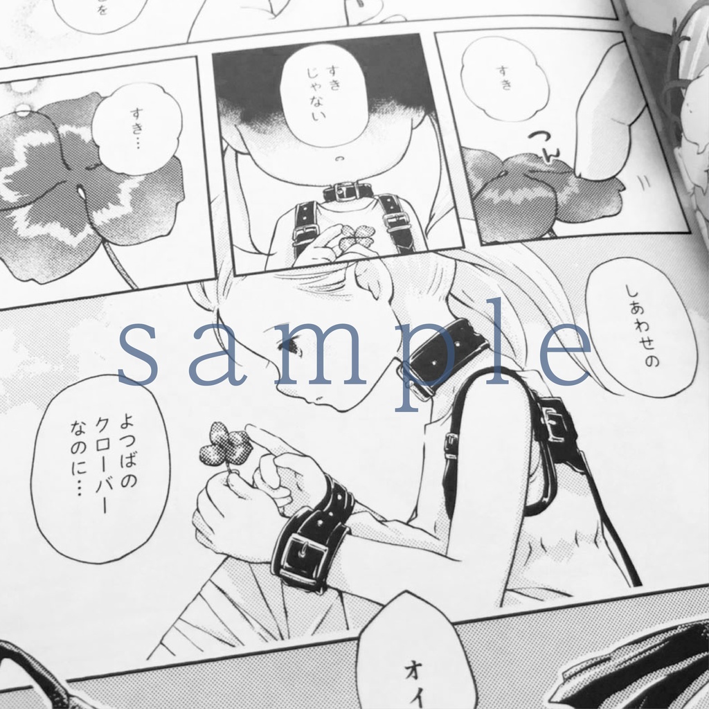 Oenothera -エノテラ-