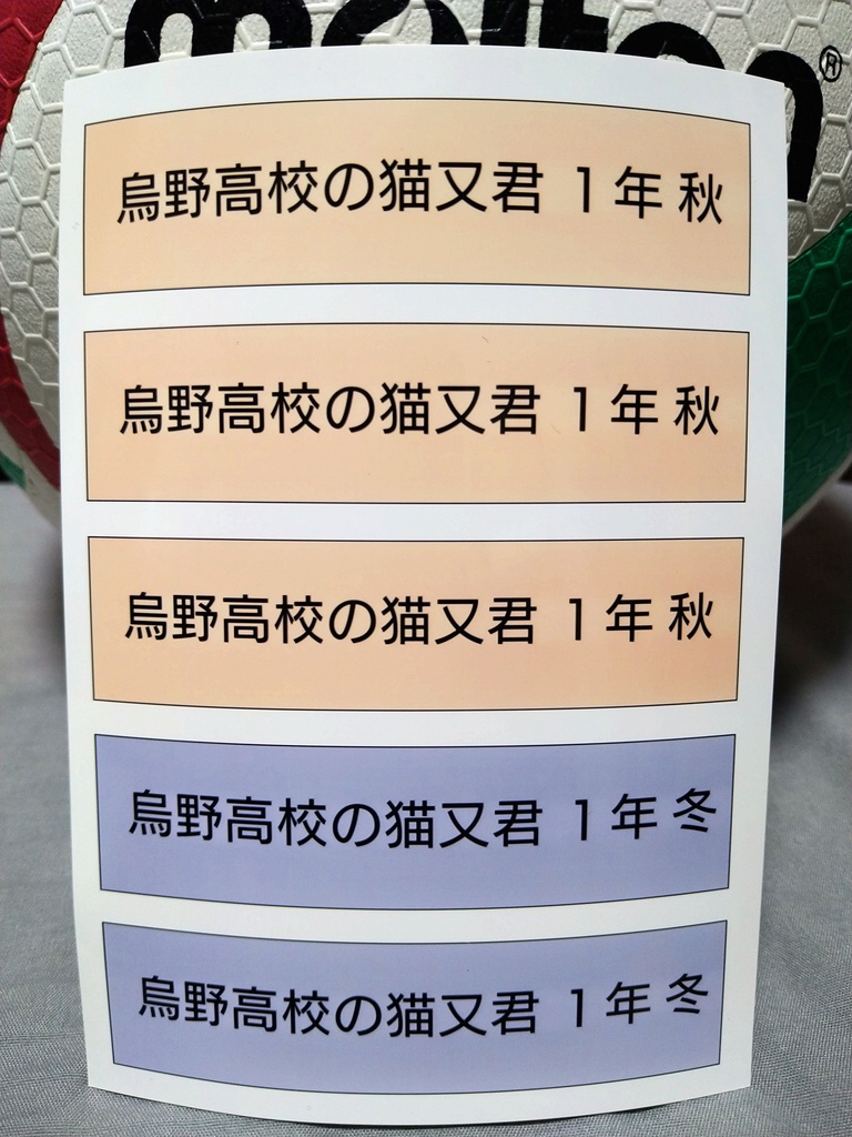 烏野高校の猫又君 1年編 春夏秋冬4冊セット