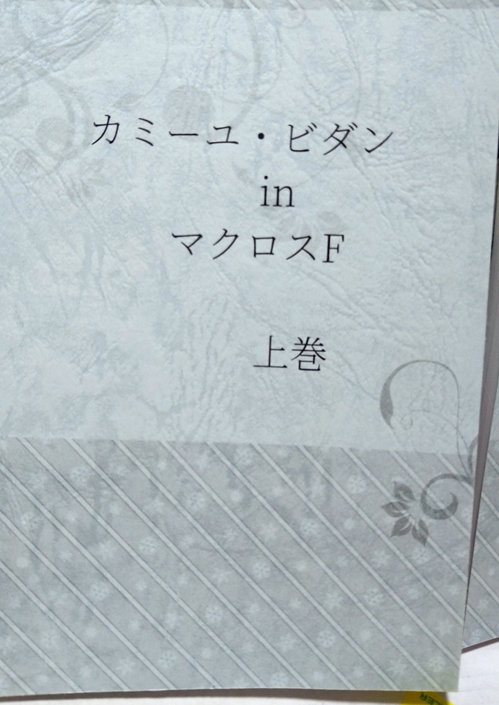 【小説】カミーユ・ビダン in マクロスF 上下巻セット