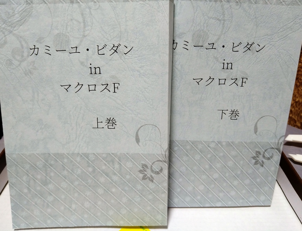 【小説】カミーユ・ビダン in マクロスF 上下巻セット