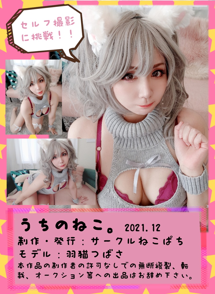 うちのねこ。【ROM写真集】