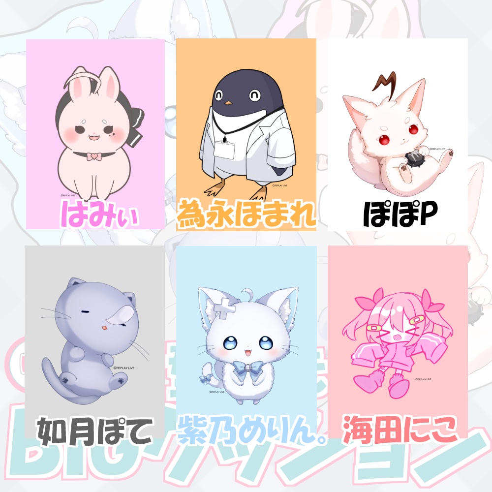 【期間限定】型抜きBIGクッション