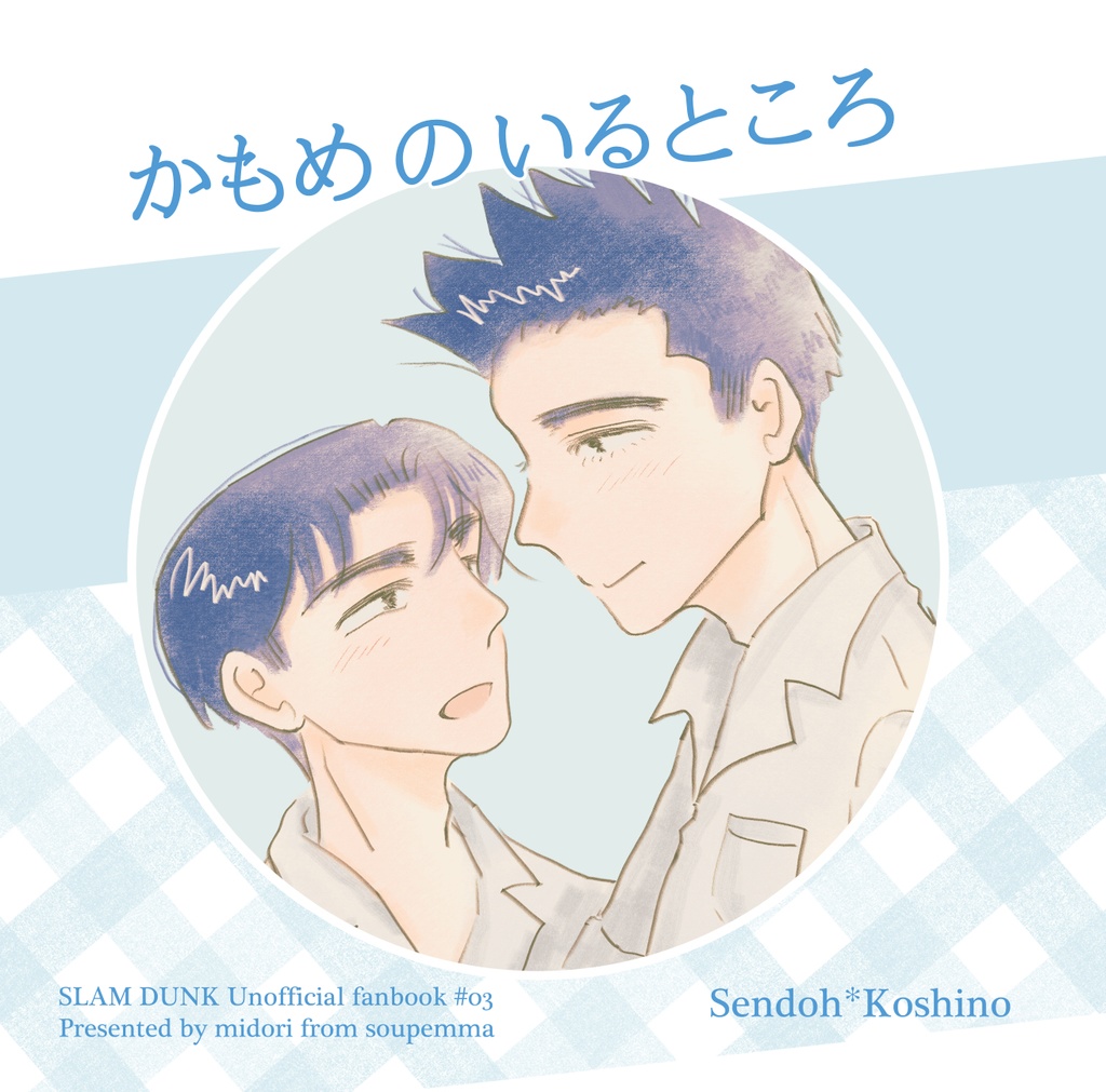 かもめのいるところ