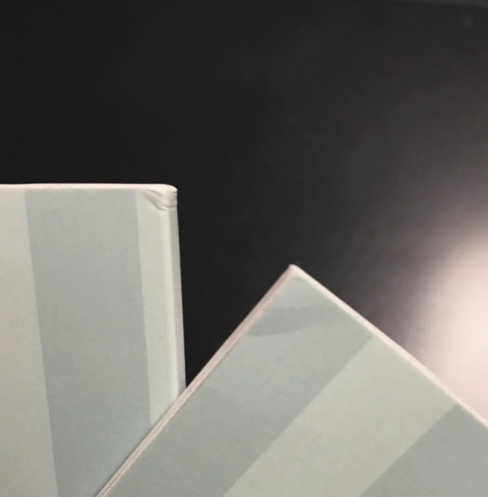 もう1度ボクと遊んでくれよ(ヨレ、キズあり)