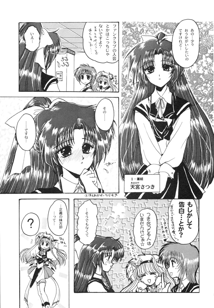 ティンクルセイバー同人版FULL(DL版)