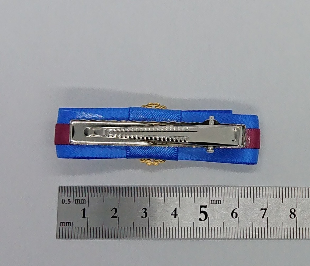 魔法使い達の2色サテンリボンクリップ【レジン製】