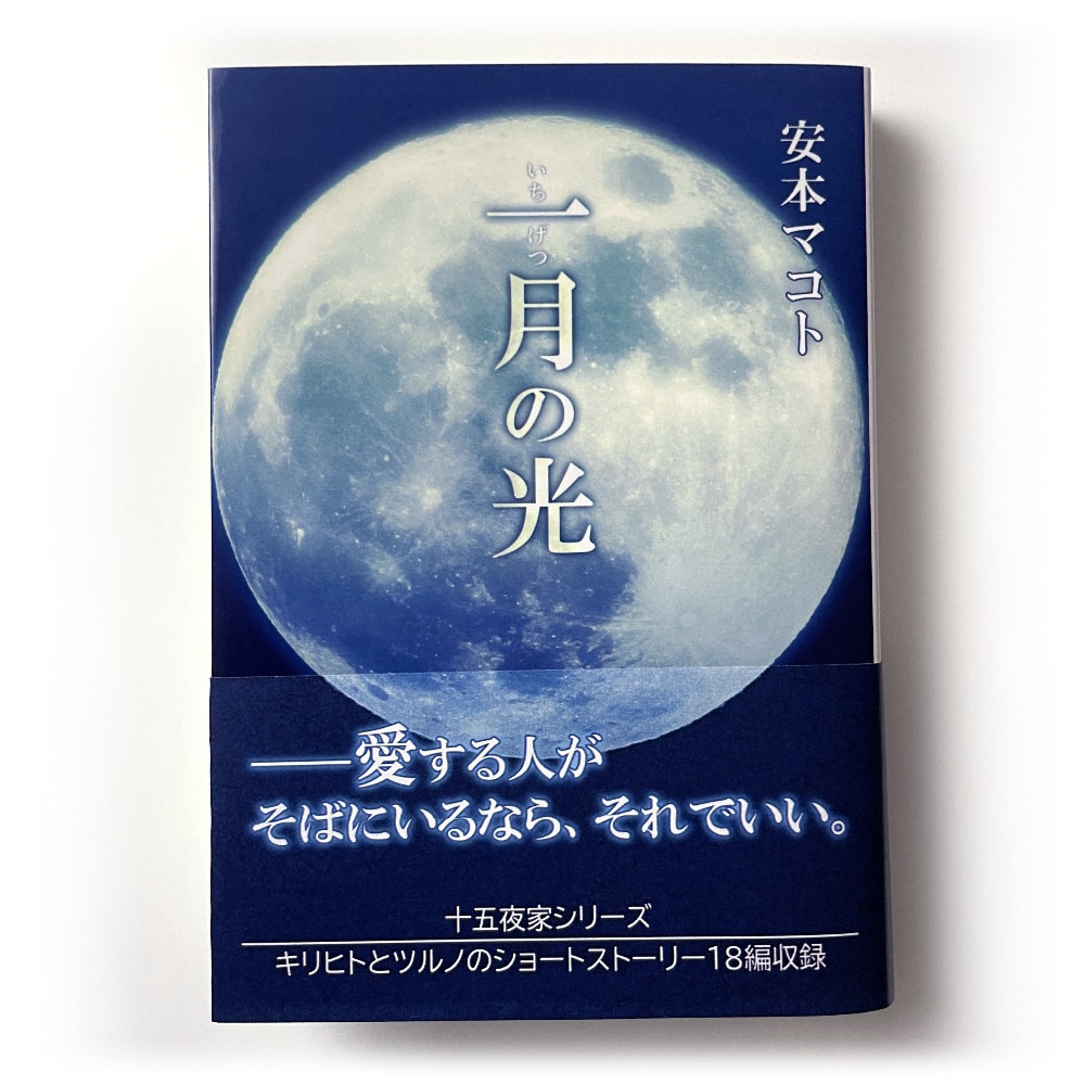 小説「一月の光」(文庫)