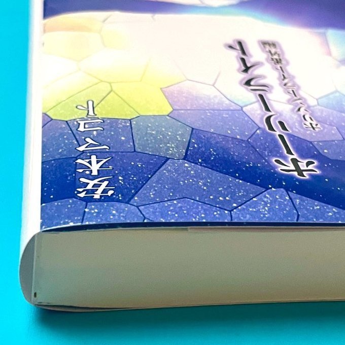 小説「ホーリーライト」(文庫)