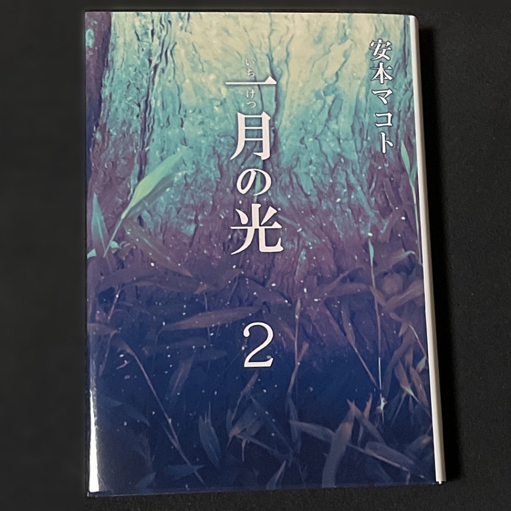 小説「一月の光2」(文庫)