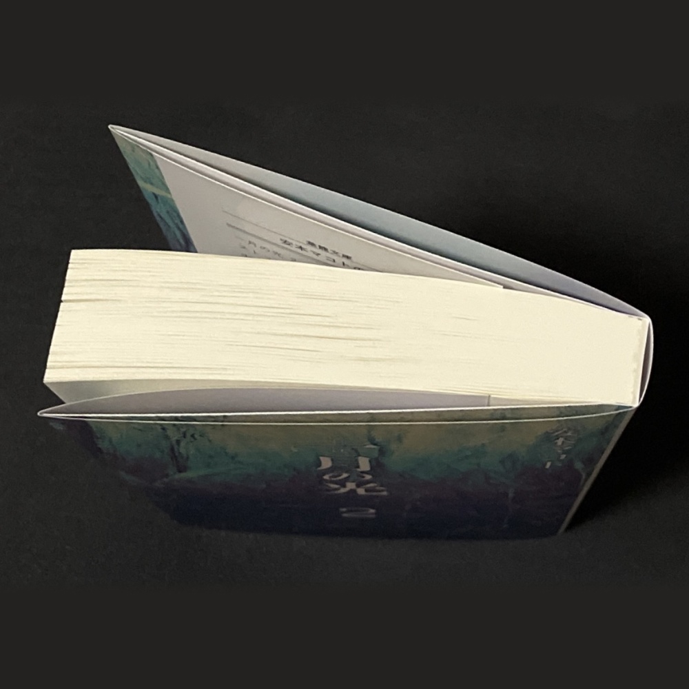 小説「一月の光2」(文庫)