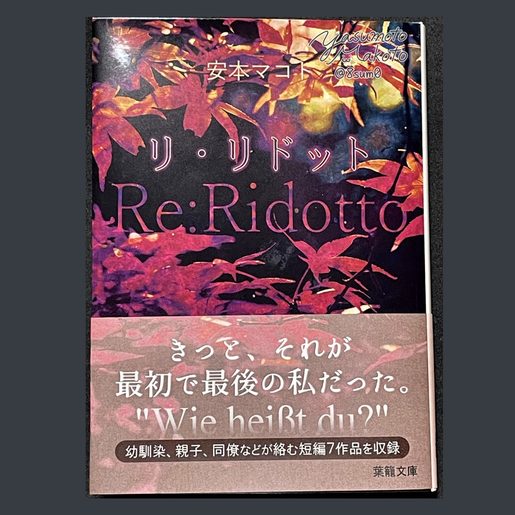 小説「リ・リドット」(文庫)