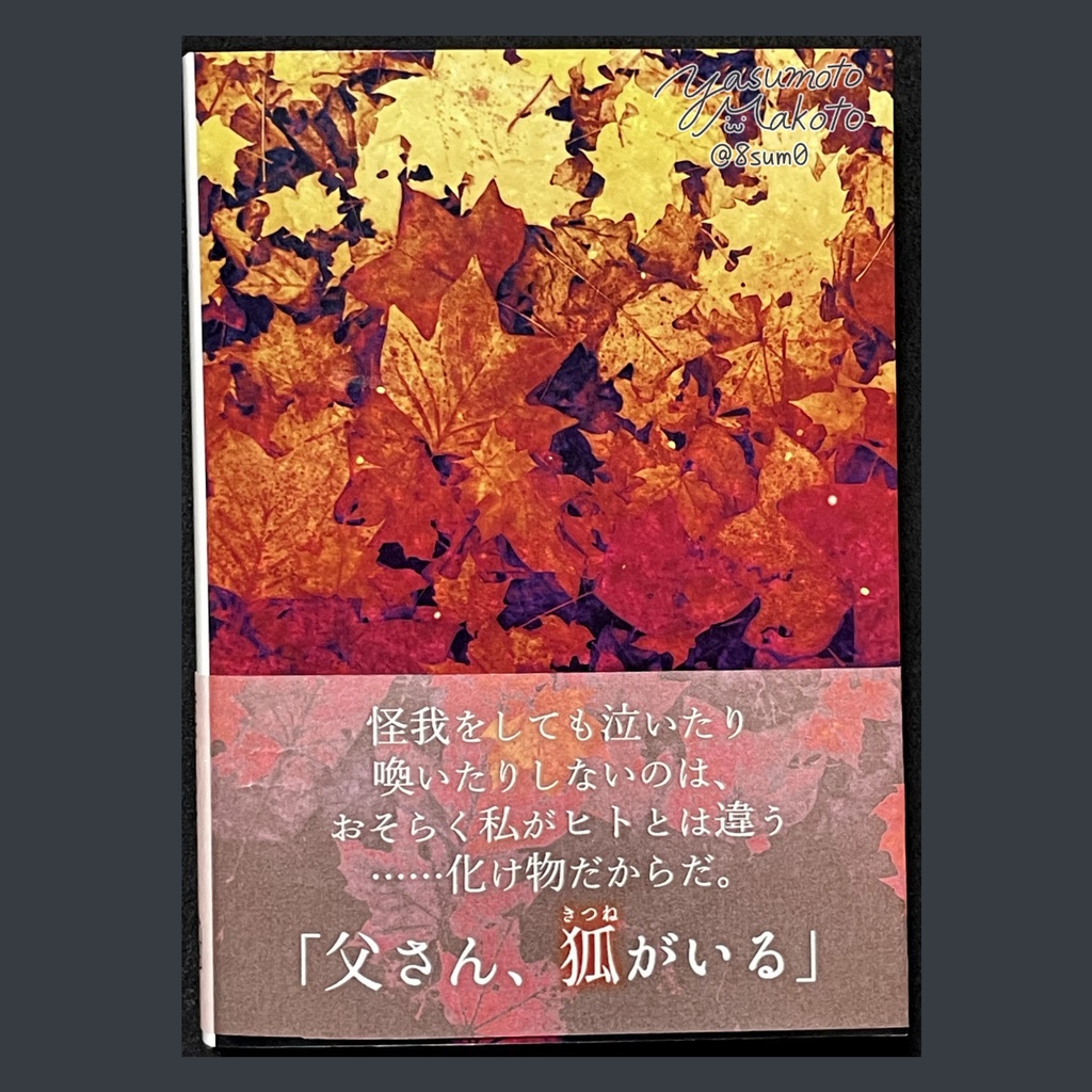 小説「リ・リドット」(文庫)