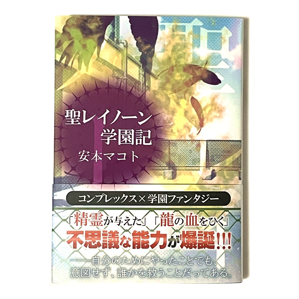 小説「聖レイノーン学園記」(文庫)