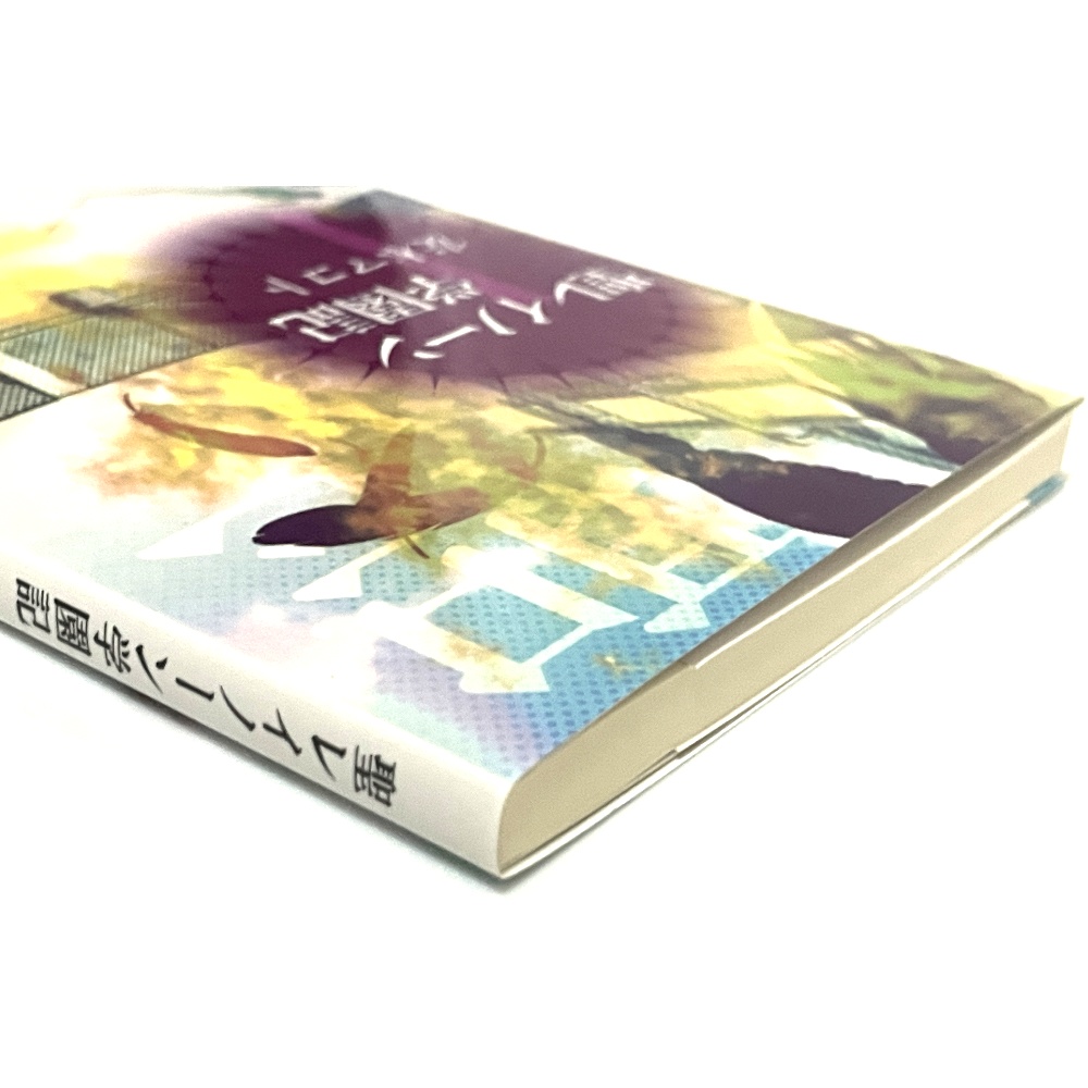 小説「聖レイノーン学園記」(文庫)