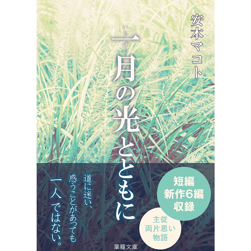 小説「一月の光とともに」(文庫)