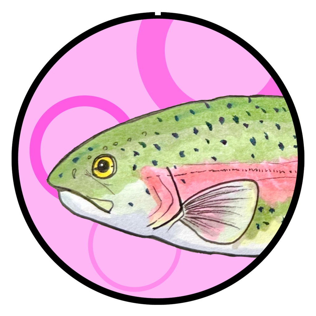 魚顔缶バッジ　ニジマス