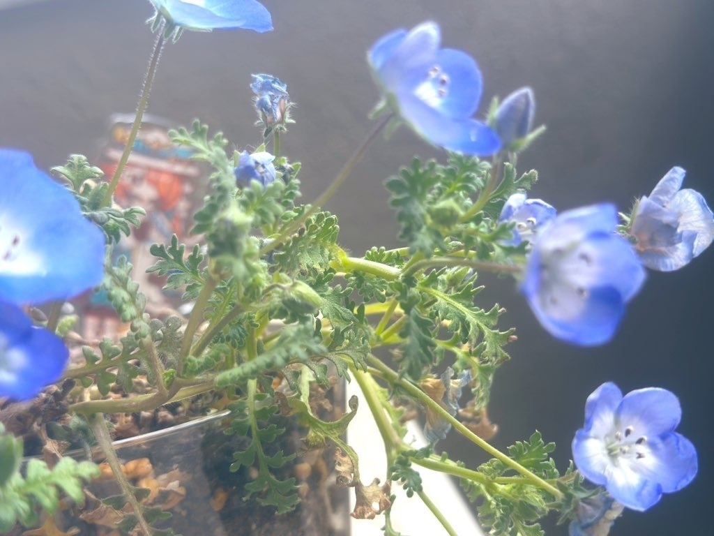 ロイヤルミルクな紅茶ぽっとちゃんつながるアクリルスタンド