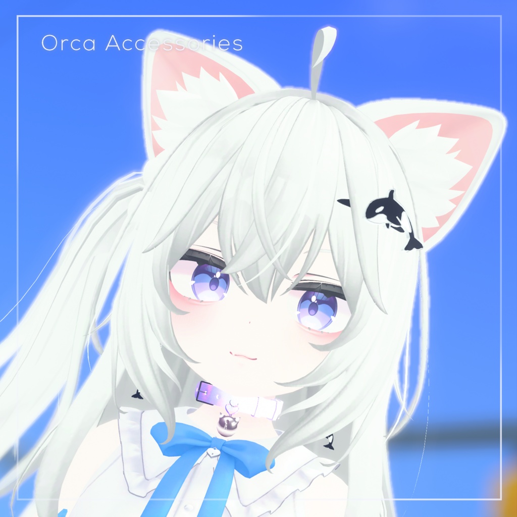 Orca Accessories