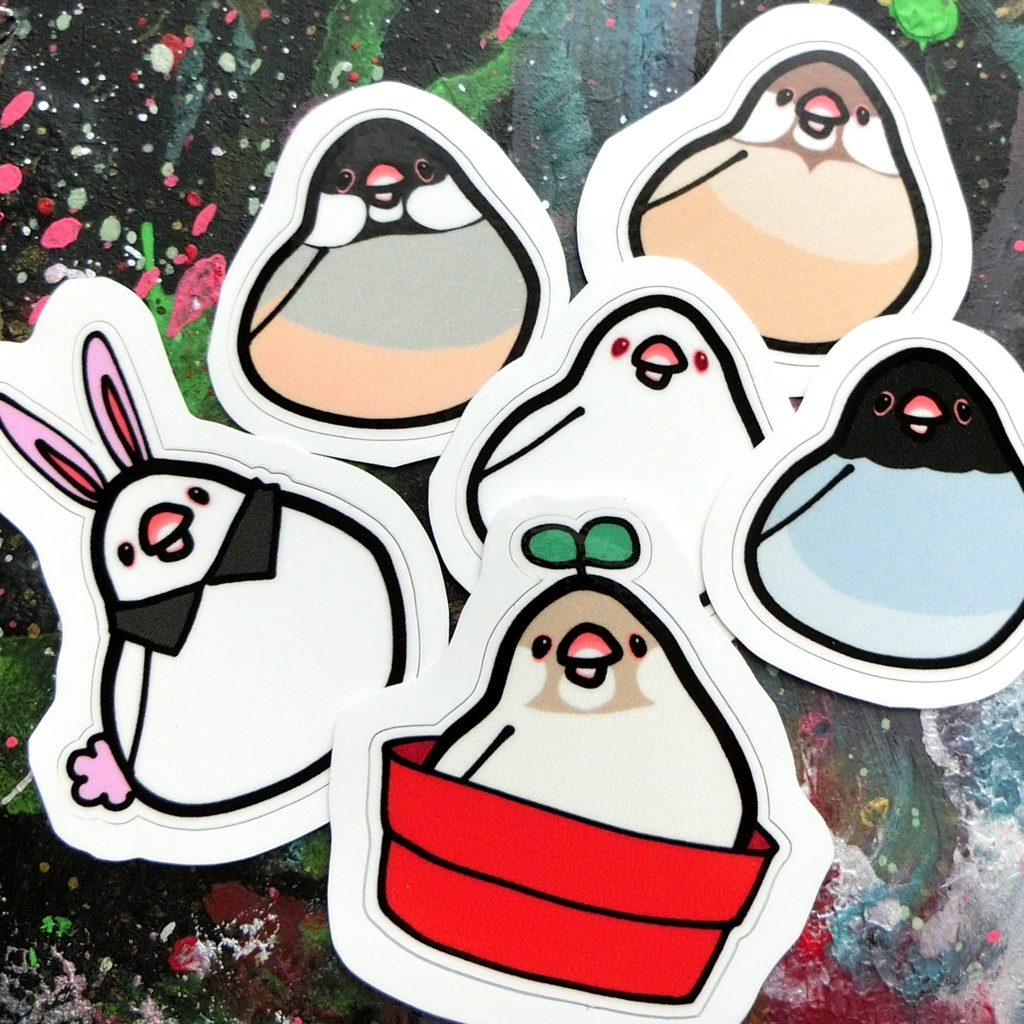 ピピ！文鳥！！
