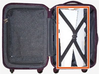 まかせてビーゴさん(黒)