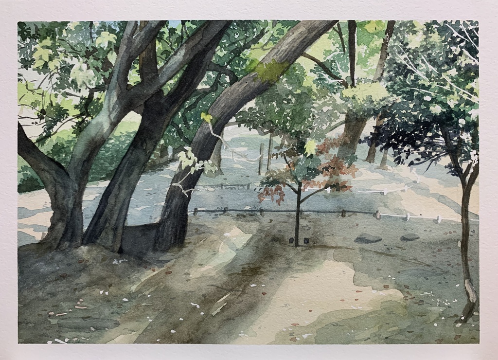 スケッチ原画