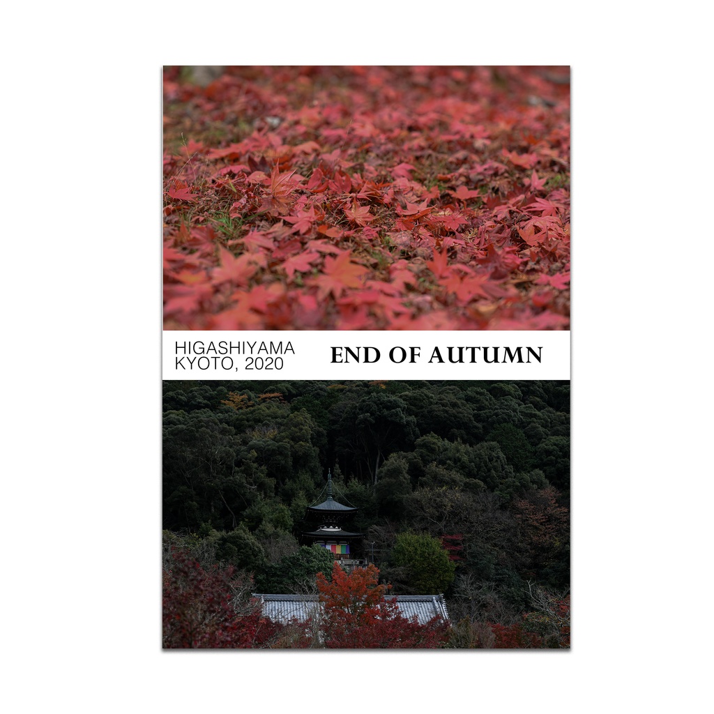二〇二〇年東山紅葉録「END OF AUTUMN」