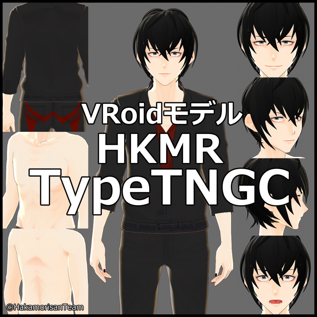 HKMR TypeTNGC VRoidモデル