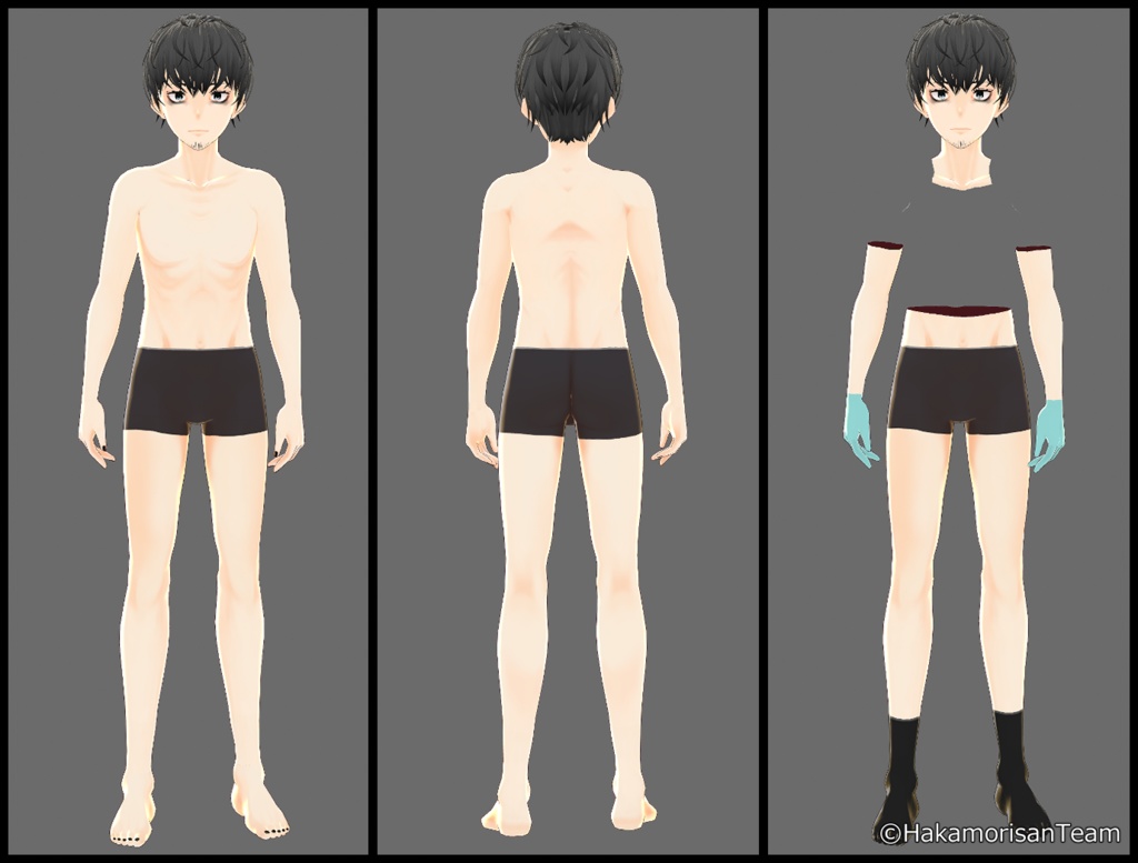 HKMR TypeRSC VRoidモデル