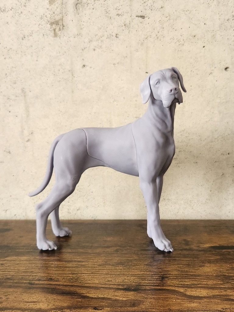 グレートデン_1/6スケールワンちゃん_ガレージキット