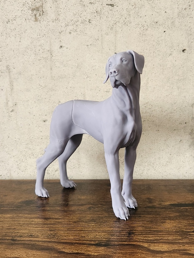 グレートデン_1/6スケールワンちゃん_ガレージキット